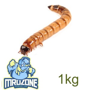 MROŻONY Drewnojad 1kg (~1,6l)
