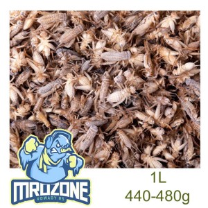 MROŻONY Świerszcz 1litr 