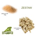 zestawP_M.jpg