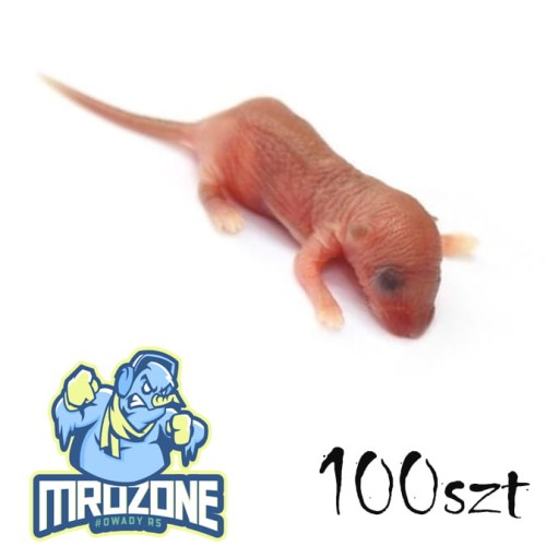 mysz_oseski_100szt.jpg