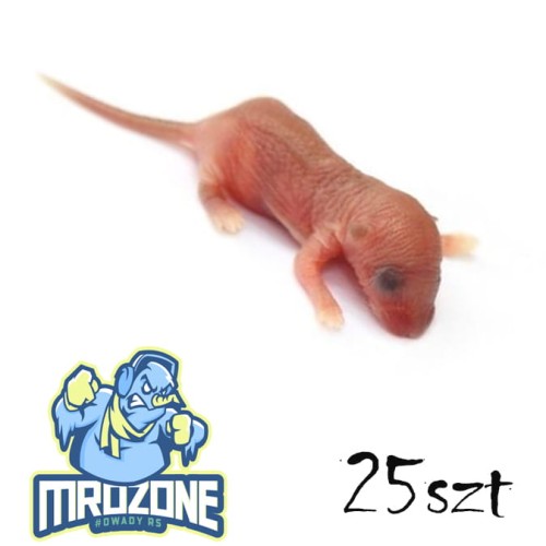 mysz_oseski_25szt.jpg