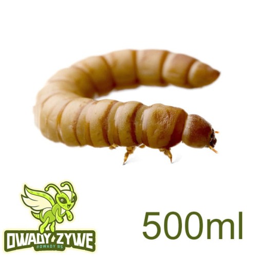 macznik_500ml.jpg