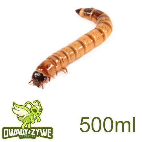 drewnojad_500ml.jpg
