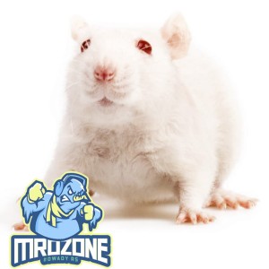 DAROWIZNA  KOŚCIAN Mysz mała 7-15g 25szt