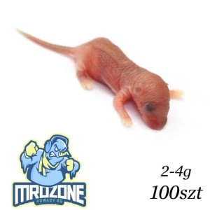 DRAOWIZNA KOŚCIAN Mysz oseski 2-4 g 100szt
