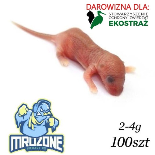 ekostraz_oseski_.jpg