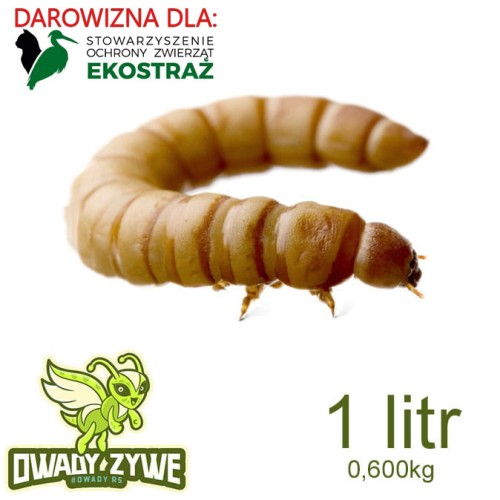 ekostraz_macznik_mlynarek_1l.jpg